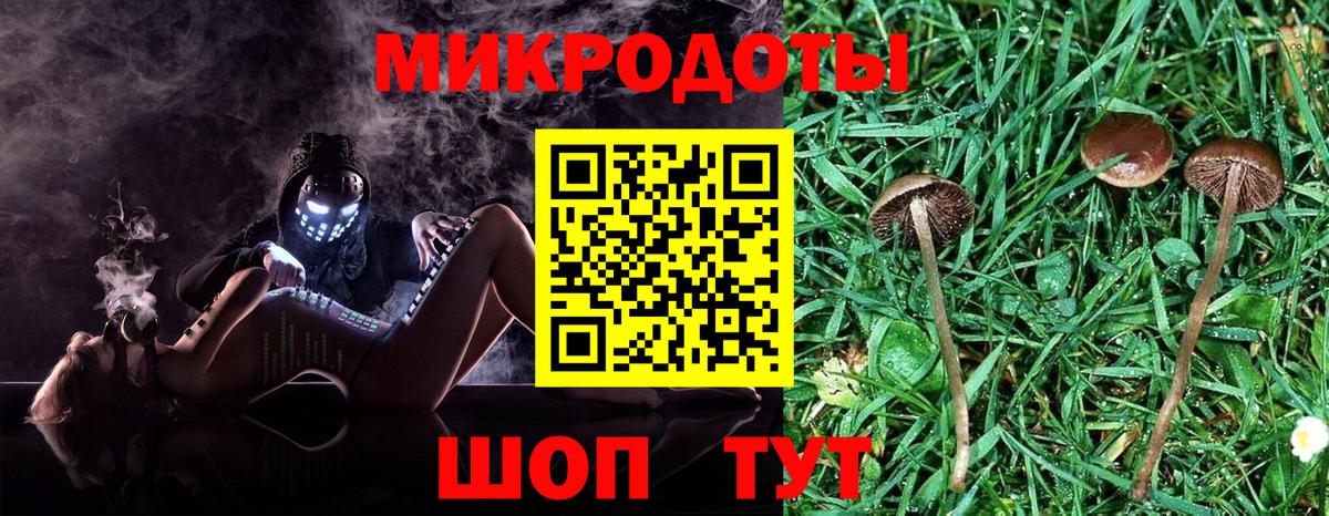 Псилоцибиновые грибы GOLDEN TEACHER Черкесск
